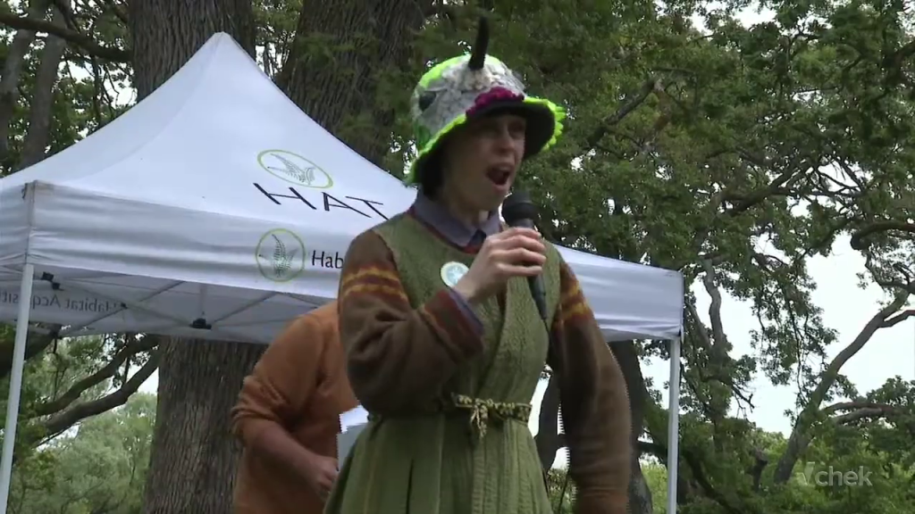 ‘Human or gull’: Scream like a gull contest celebrates World Migratory Bird Day