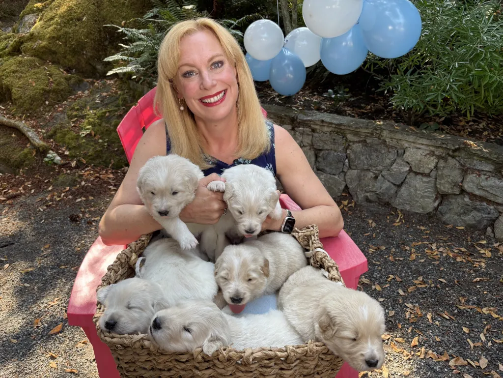 Pet CHEK: Celebrating our 7th anniversary and the pawsitively awesome milestone of finding homes for close to 1,000 rescue animals