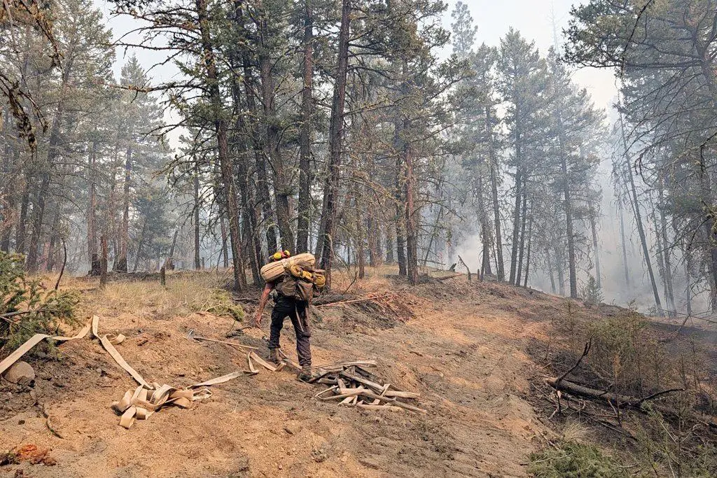 Fire activity could increase at 164,745 hectare Pear Lake blaze in the Cariboo